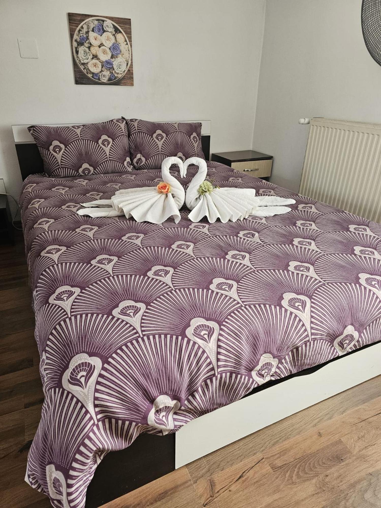 Casa Ana Apartment Cluj-Napoca Ngoại thất bức ảnh